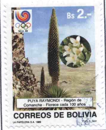 Flora Boliviana