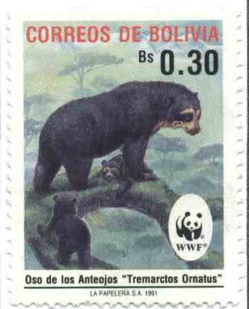 Fauna Boliviana. Osos de Anteojos. WWF