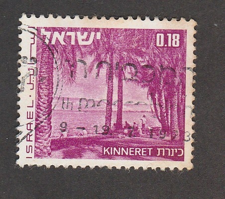 Kinneret, Palmeras