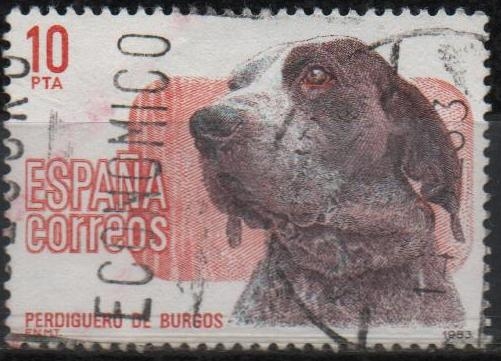 Perros d´raza Españoles 