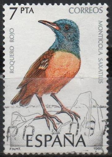 Pajaros 