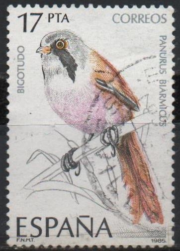 Pajaros 