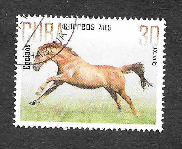 4521 - Caballo