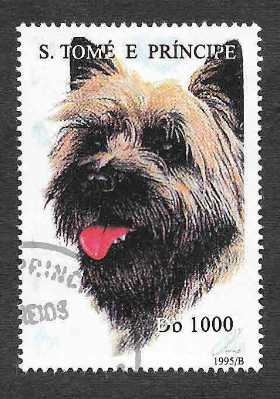 1243 - Perro