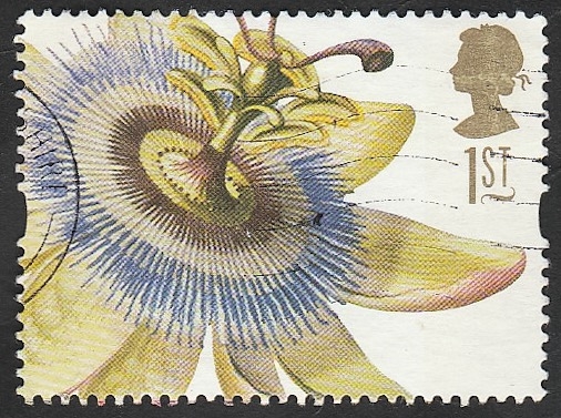 1933 - Flor