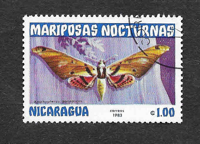 1233 - Mariposas Nocturnas
