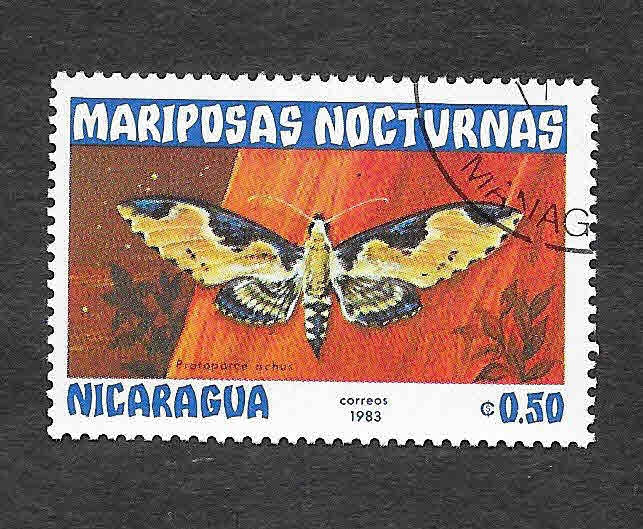 1231 - Mariposas Nocturnas