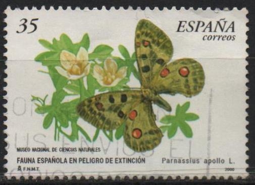 Fauna en peligro d´Extincion 