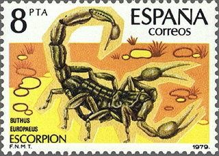 2533 - Fauna - Invertebrados - Escorpión