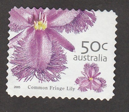 Thysanotus spp