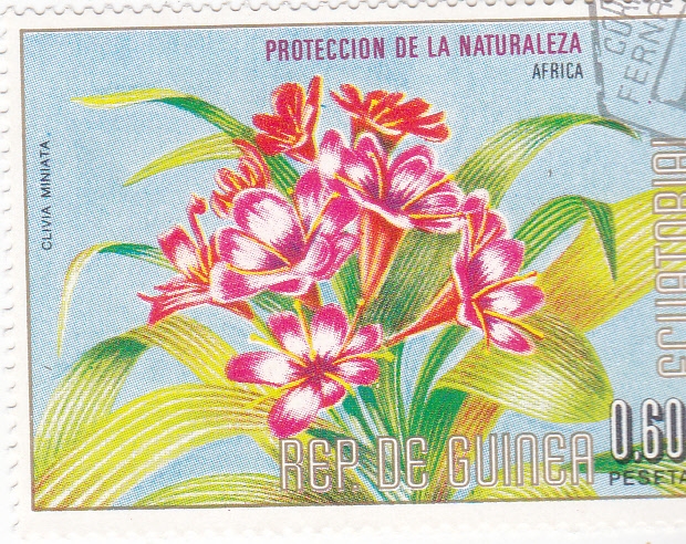 FLORES- PROTECCIÓN DE LA NATURALEZA