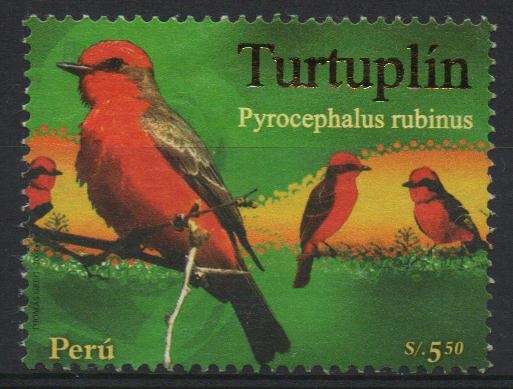 PÁJAROS.  TURTUPLÍN.