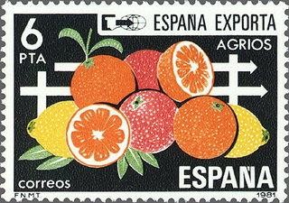 2626 - España exporta - Agrios