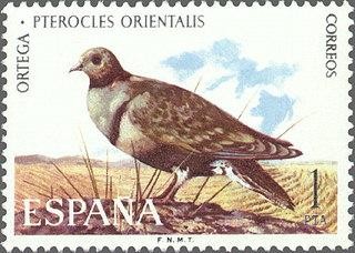 2134 - Fauna hispánica - Ortega