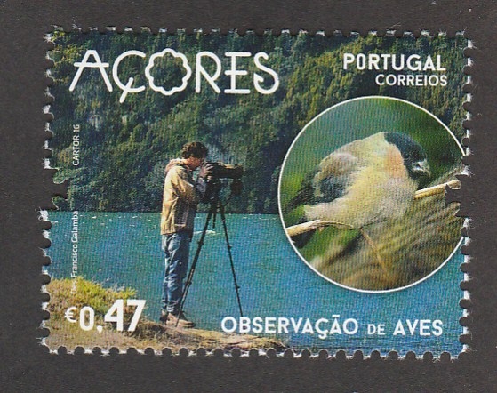 Açores,actividades:observación de aves