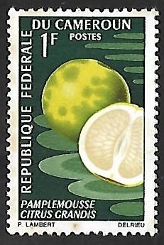 Pomelo