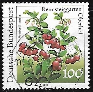 Vaccinium vitis-idaea