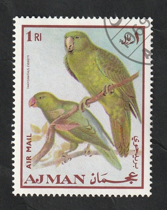 Ajman - 54 - Aves