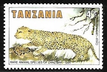 Leopardo