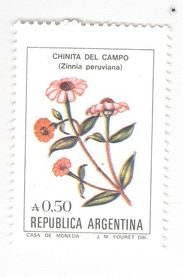 Chinita del campo