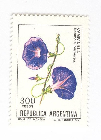 Campanilla