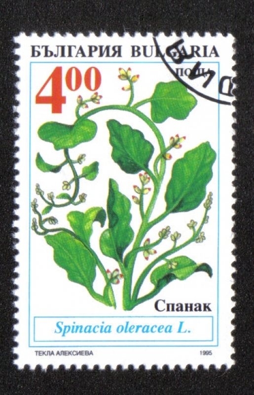 Plantas agrícolas tradicionales en bulgaria