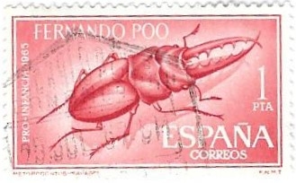 Escarabajo