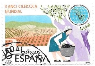 II año oleicola