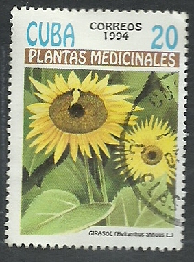 Plantas medicinales