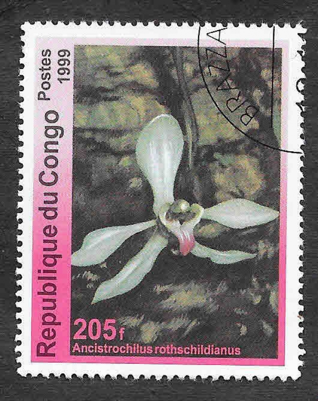 Mi1665 - Orquídeas