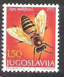 abeja RESERVADO