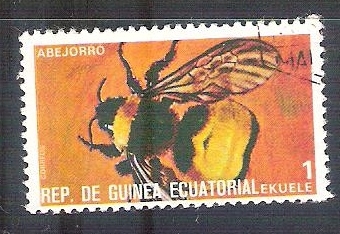 abeja 