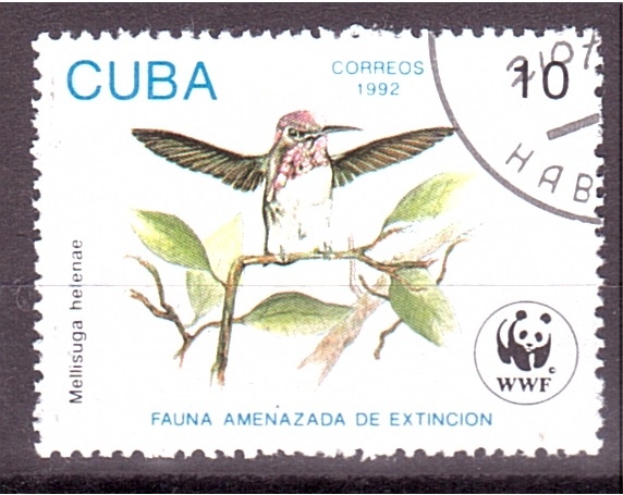 Fauna amenazada de extinción