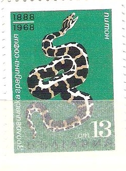 serpiente RESERVADO 