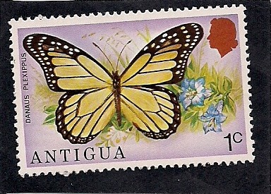 Mariposa