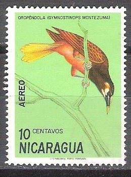 oropendola RESERVADO