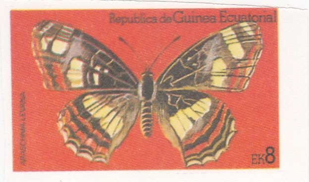 mariposa