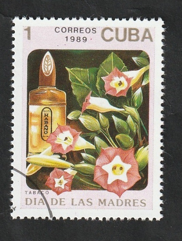 2937 - Habano