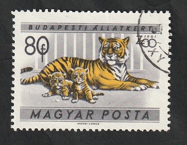 1417 - Jardín zoológico de Budapest, tigres