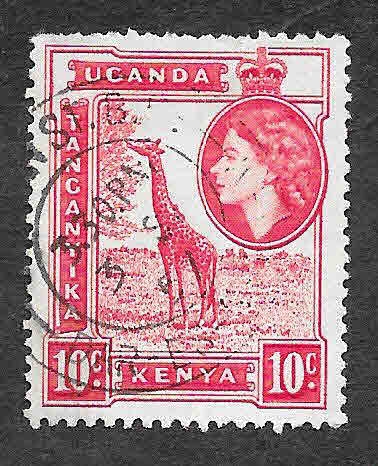 104 - Jirafa (Kenia, Uganda y Tanganica)