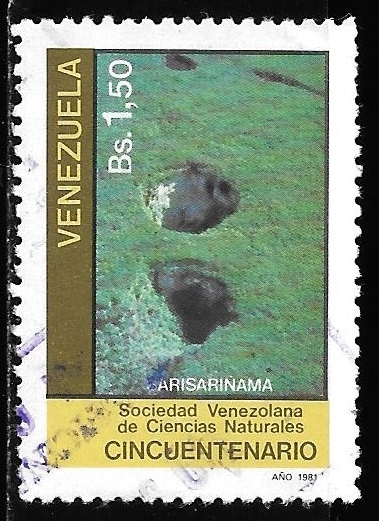 Venezuela-cambio