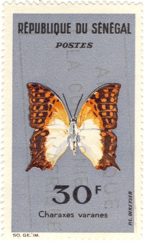 Mariposa