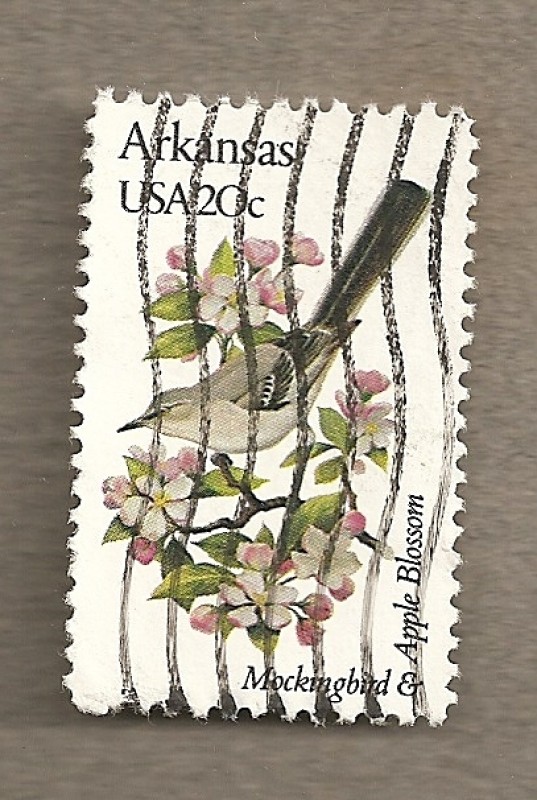 Flores y aves-Arkansas