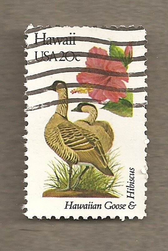 Flores y aves-Hawai