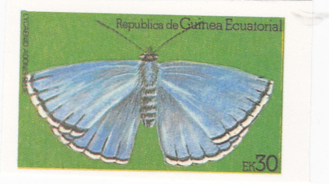 Mariposa