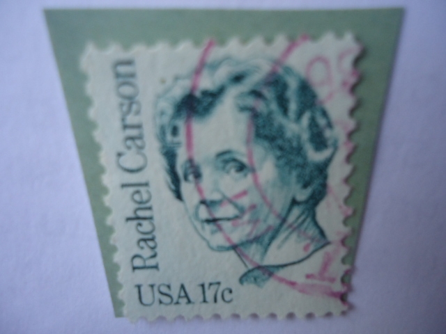 Rachel Carson (1907-1964) Bióloga Marina - Grandes Americanos.