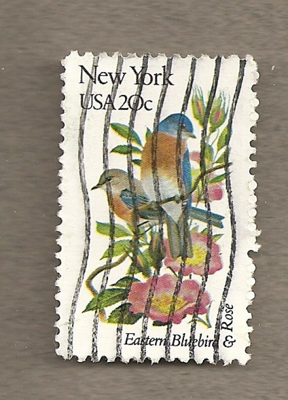 Flores y aves-New York