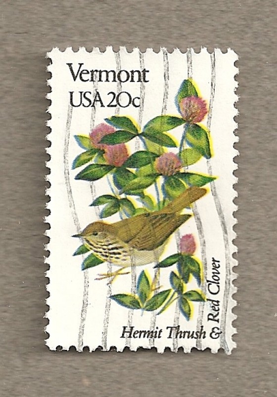 Flores y aves-Vermont