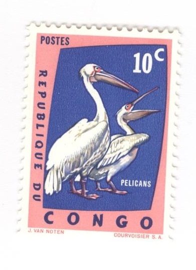 Pelicanos