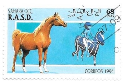 caballos